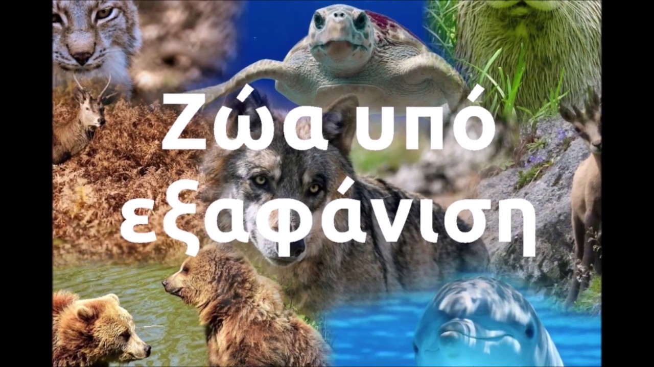 Ζώα που είναι υπό εξαφάνιση στην Ελλάδα