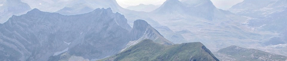 Λουλούδια 🌸