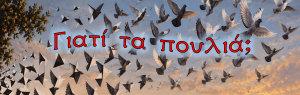 Γιατί τα πουλιά;