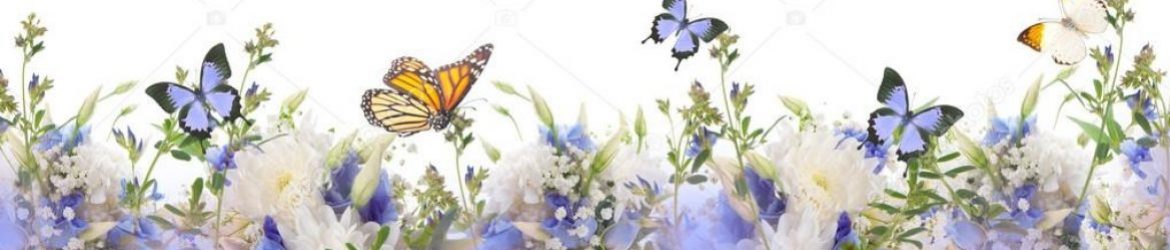 cropped-cropped-depositphotos_102588612-stock-photo-border-with-flowers-and-butterflies.jpg