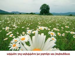 Η φύση στα μαλλιά μας