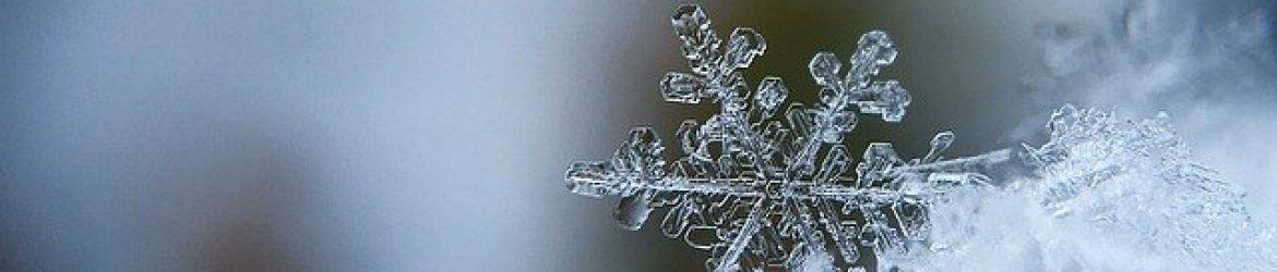cropped-snowflake-1245748_640.jpg