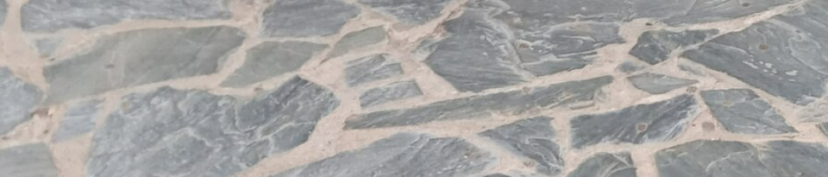 cropped-gel.png