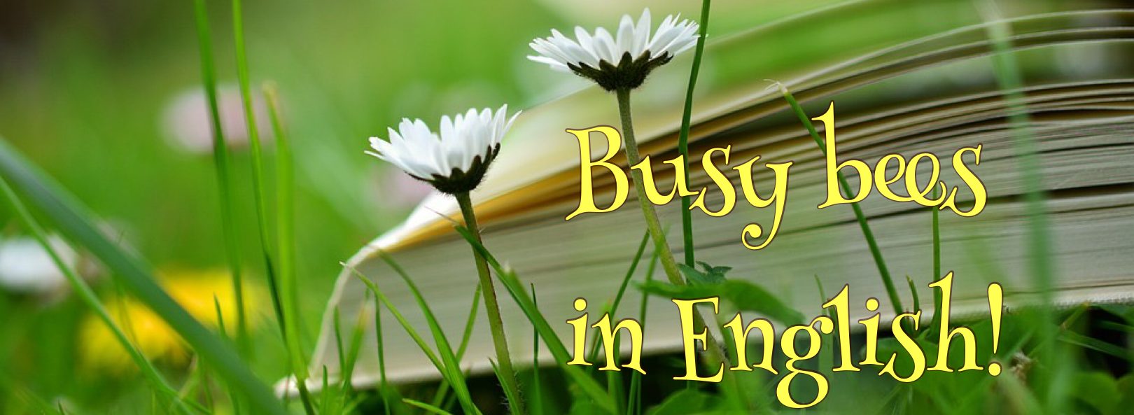 Busy Bees In English – Learn English And Have Fun!